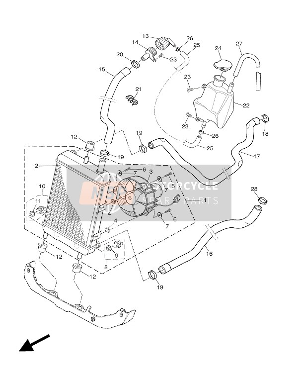 Yamaha XQ125 MAXSTER 2001 Radiator & Hose for a 2001 Yamaha XQ125 MAXSTER